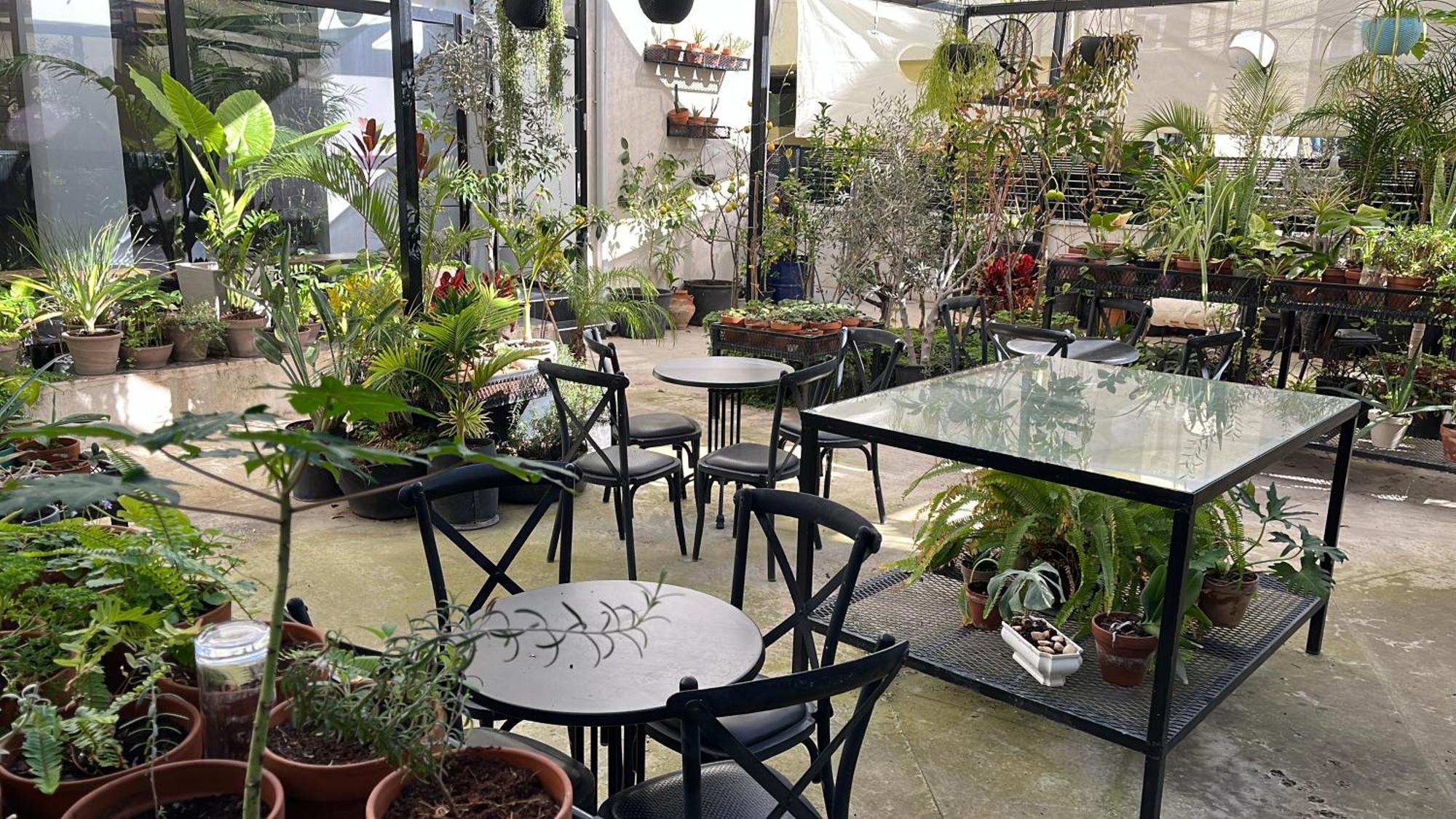 לינה וארוחת בוקר תל אביב Yona 8 מראה חיצוני תמונה
